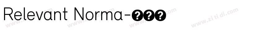 Relevant Norma字体转换